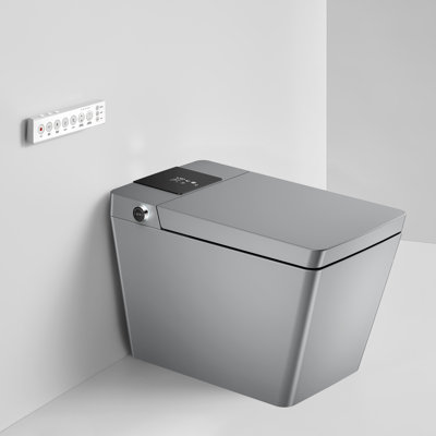 Rainlex 0.8 Gallons GPF Elongated Floor Mounted Bidet Toilet (Seat Included)