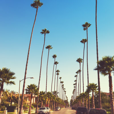 Sunset Strip in Los Angeles by Franckreporter