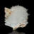 Scolecite and Stilbite From Pune, India