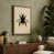 Cream Border