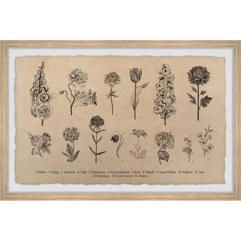 «Timeless Flowers», reproduction encadrée, H 12 po x l 18 po
