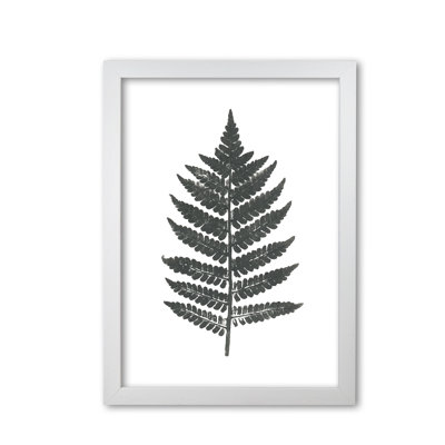 Vintage Fern 1 Piece Wall Art