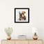 Watercolor British Bulldog-628610100-628610097