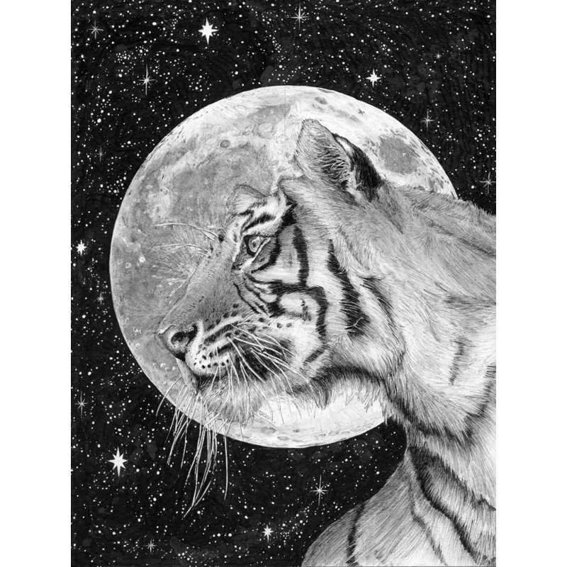 Wrapped Canvas Print, 121.92 cm H x 81.28 cm W