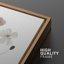 "Minimal Botanical" Wildflowers-91875094-91875097