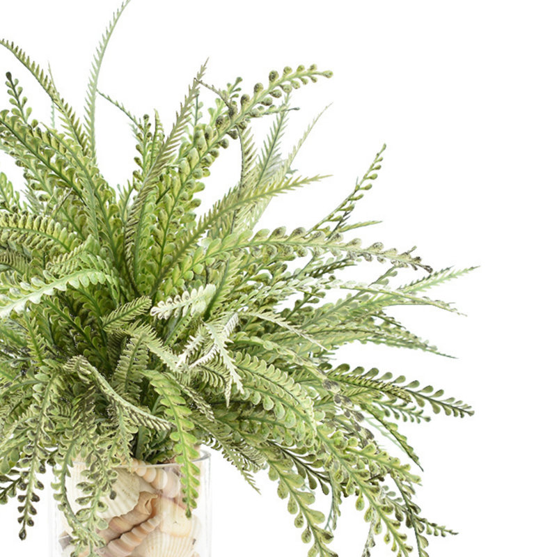 Feather Fern Arrangement with Shells