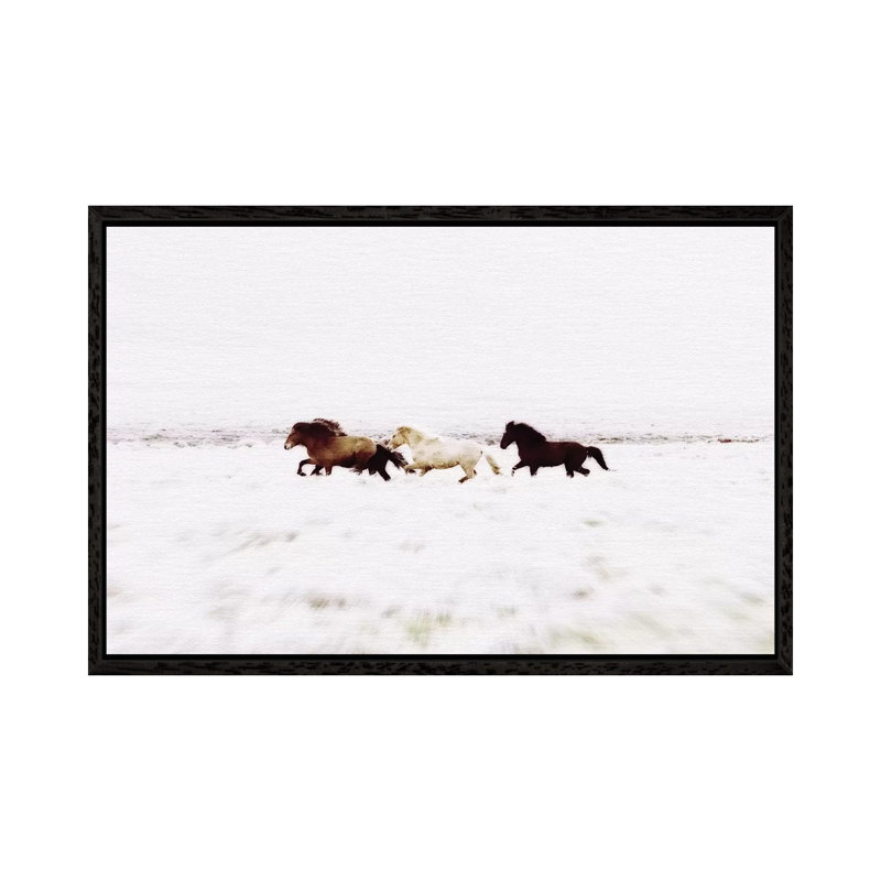 Wild Horses Iceland VIII Landscape by Monika Strigel - Print on Canvas, 45.72cm H x 66.04cm W x 3.81cm D, Black Framed