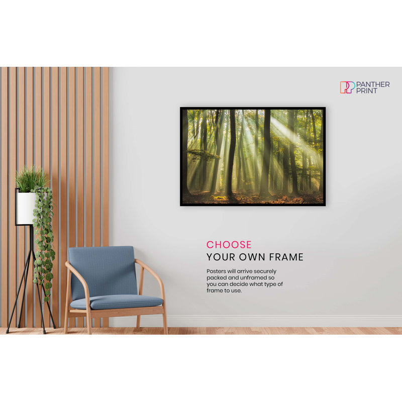 Sun Rays In Forest Woods - No Frame Print, 20cm H x 31cm W