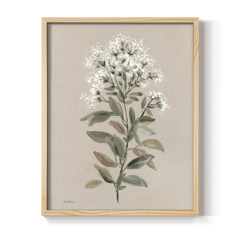 Reproduction encadrée de tiges florales blanches II - bois massif, Naturel, H 11 po x l 9 po