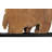 Teak Wood Handmade Live Edge Tree Trunk Abstract Home Wall Decor with Black Frames