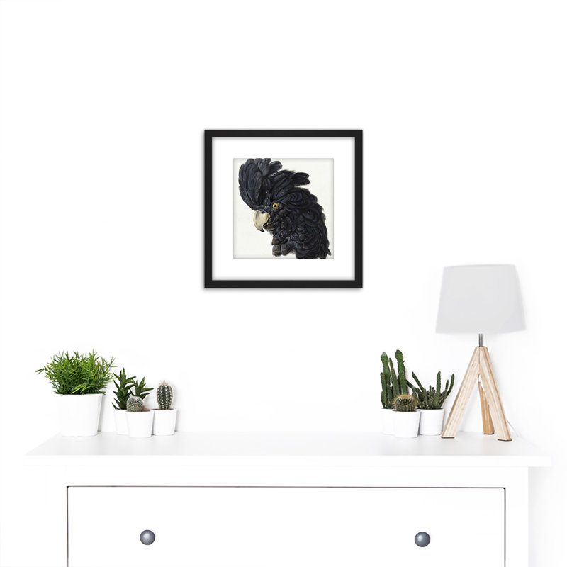 Head Cockatoo Parrot Bird by Schouman - Single Picture Frame Painting