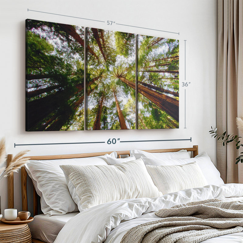 «Muir Wood California Redwoods» sur toile, H 36 po x l 57 po x P 1,25 po