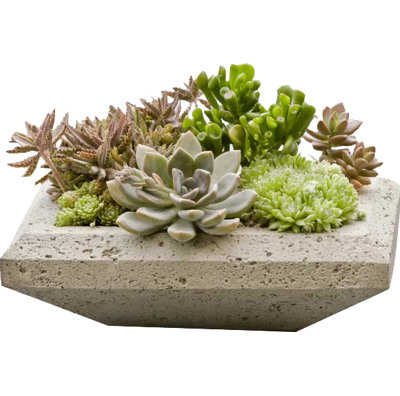 Garden Terrace Planter