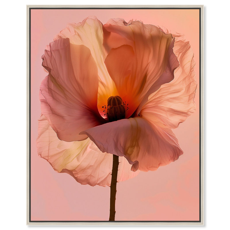 Amber Radiance I Print by Oliver Gal, 31"H x 37"W, Silver Floater Frame