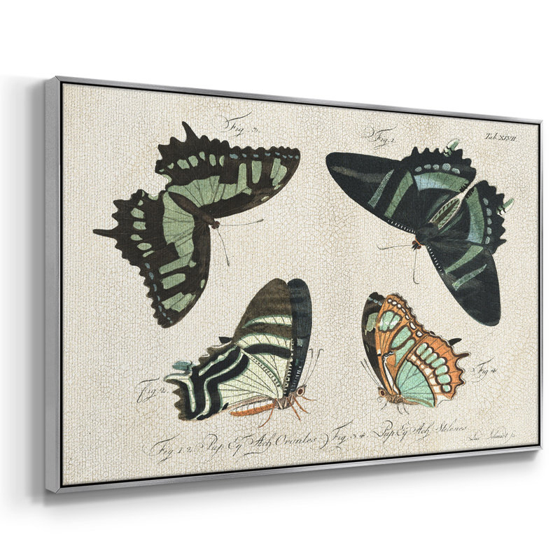 «Crackled Butterflies III», reproduction d'art sur toile, H 25 po x l 37 po x P 2 po, Toile argentée avec cadre flottant