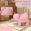 EvoNet Toy