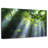 Alvord Malaysian Forest