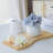 Brixen Polyresin Table Vase-1344954060