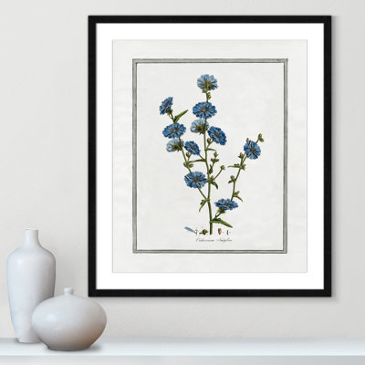 Colombe Soft Botanical I - Framed Art Full Bleed