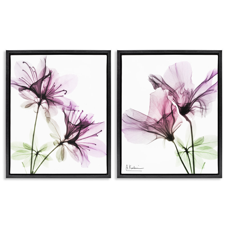 «Purple Flower Bloom Design», ensemble de 2 toiles flottantes encadrées par Albert Koetsier, Noir, H 21 po x l 17 po