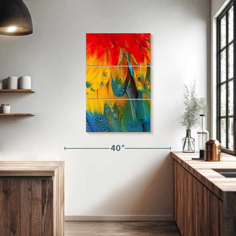 Brampt Macaw Feathers, 38" H x 24" W