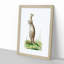 Great Kangaroo by George Shaw - Picture Frame Painting Print-55620757-55620758