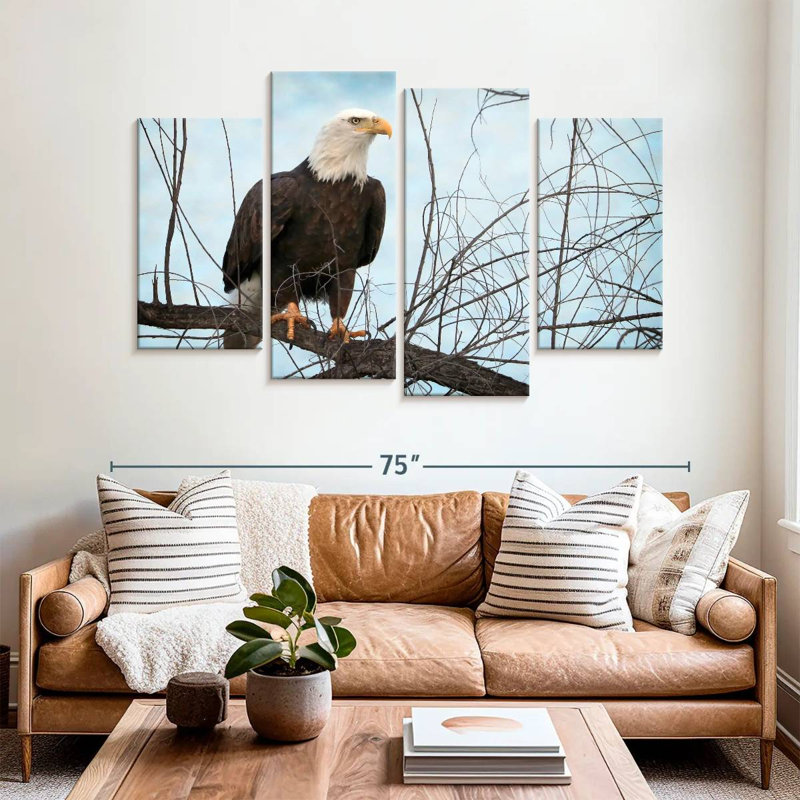 North American Bald Eagle Portrait, H 42 po x l 68 po