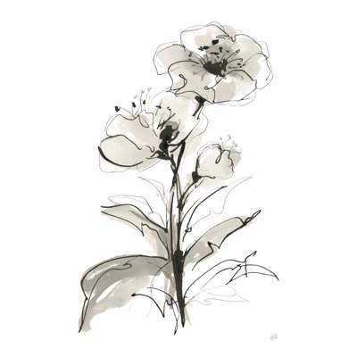 Coquelicot I