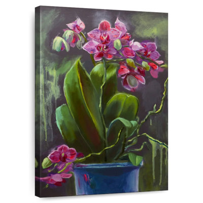 Harnek Orchid Flowers