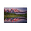 Darren White Photography - Print on Canvas-29382222-89240983