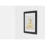 Daisy Fragrance - Single Picture Frame Print
