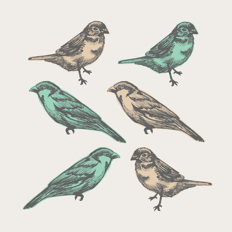 Décalcomanie murale oiseaux