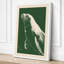 Graceful Seal Study Japandi - Wrapped Canvas-1907799011-1907799014