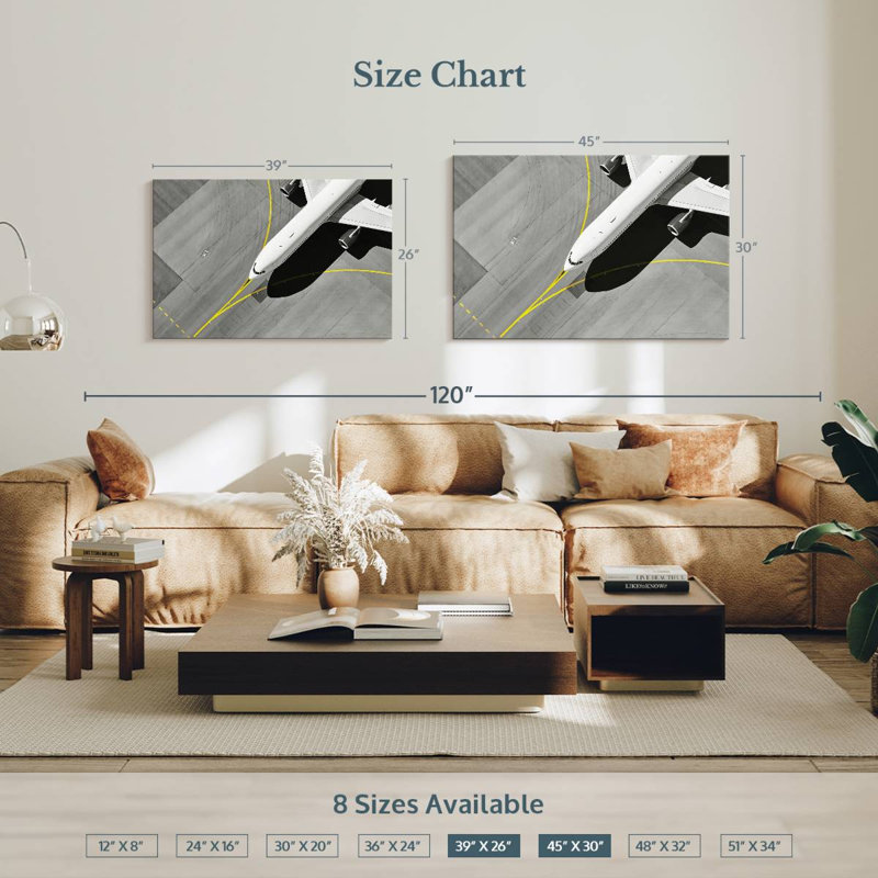 Mehar Airplane From Above, 30" H x 45" W