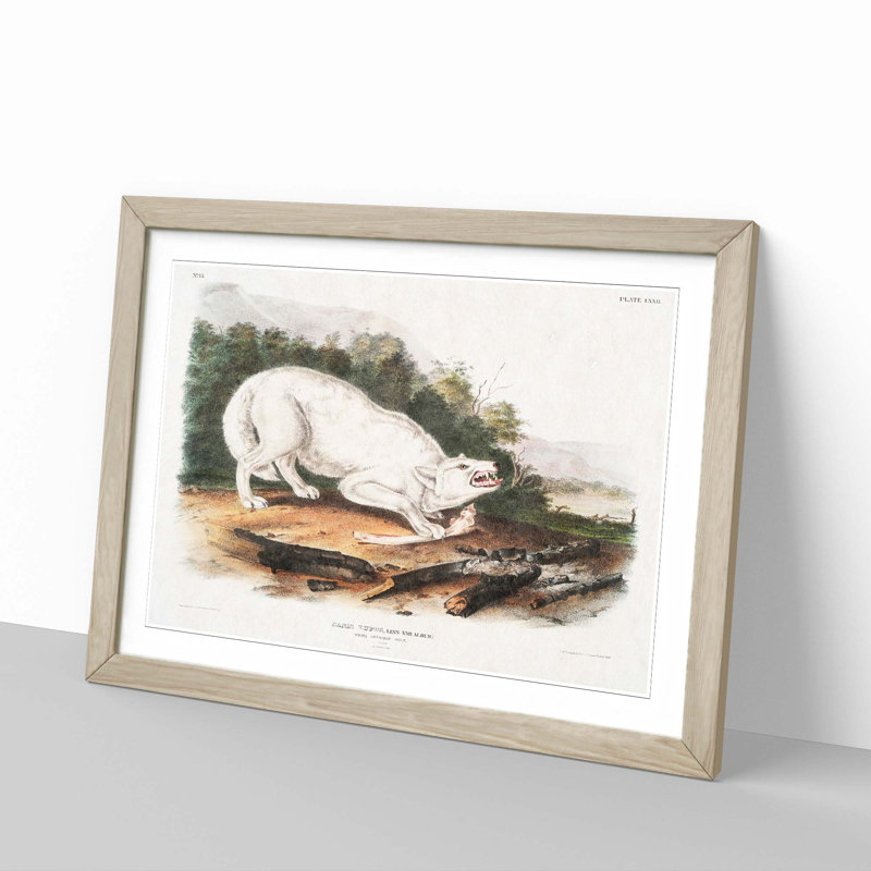 White American Wolf by J.W. Audubon - Framed Print, 48cm H x 65cm W x 2cm D, Oak Framed