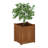 Ermont Wood Planter Box-1993292139