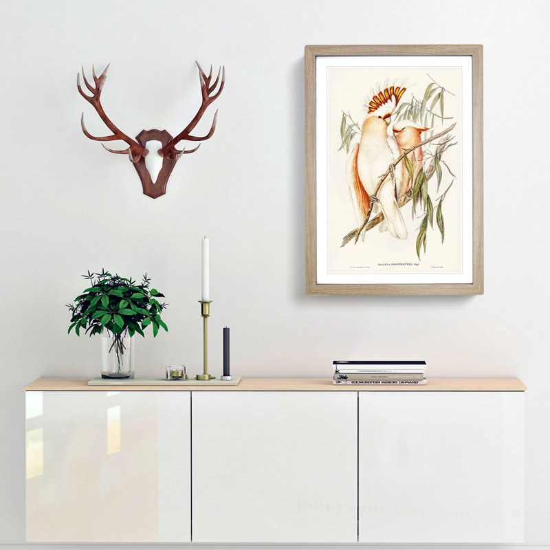 Leadbeater's Cockatoos by Elizabeth Gould - Picture Frame Painting Print, 36cm H x 27cm W x 2cm D, Oak Framed