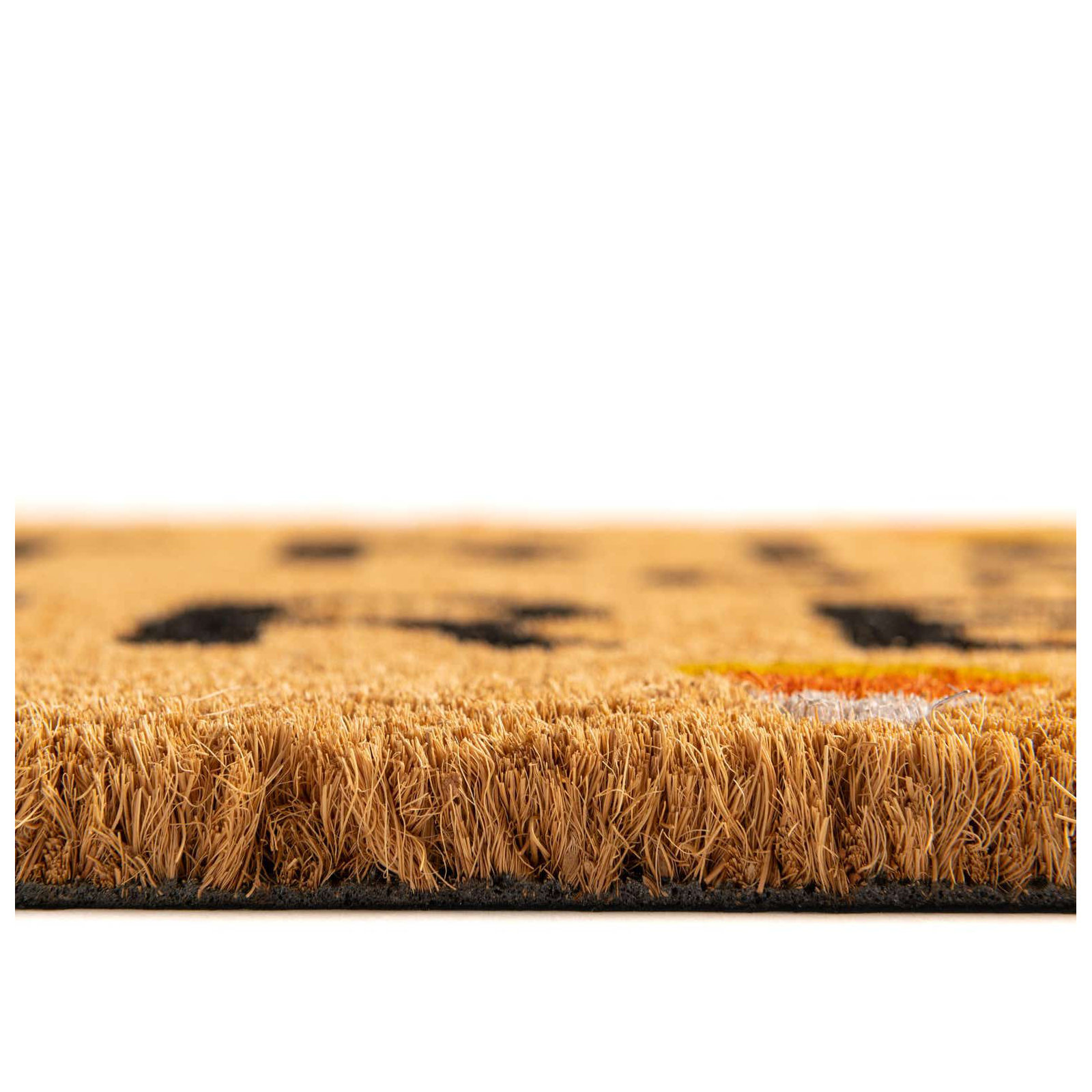 Non-Slip Halloween Outdoor Doormat, Rectangle 1'6" x 2'6"