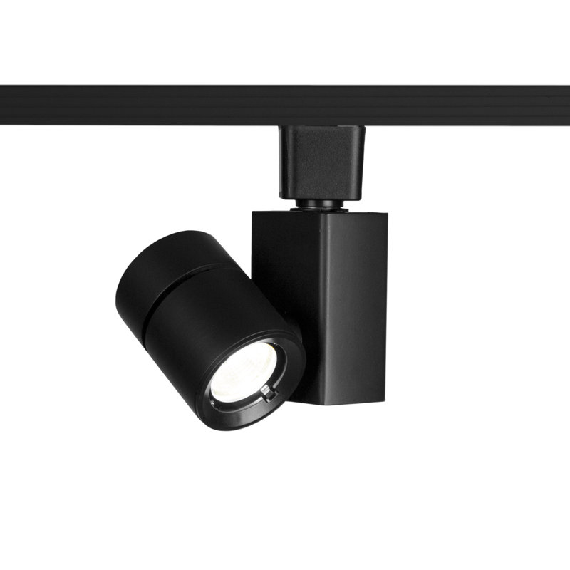 Exterminator II Track Head, Black, 2700K/85, Flood
