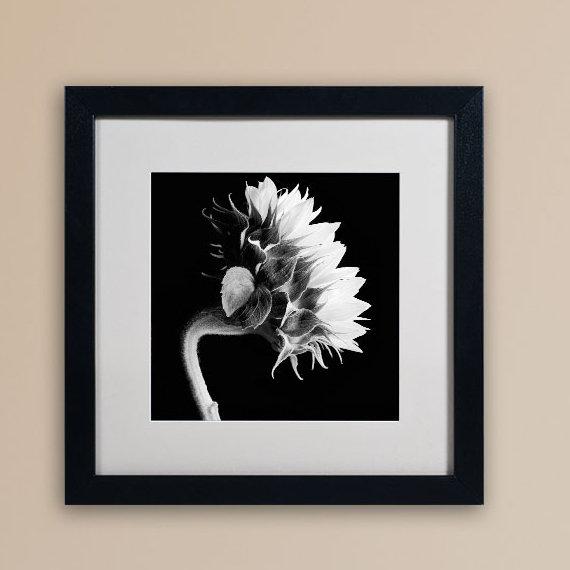 Tournesol par Michael Harrison - reproduction de photo sur toile encadrée, H 16 po x l 16 po x P 0,5 po