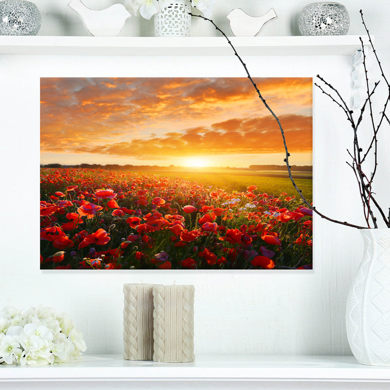 Photographie de toile florale sur fond de coquelicots - Magnifique champ de coquelicots, H 30 po x l 40 po x p 1 po