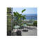Doga Outdoor Lounge Chair-1827266239