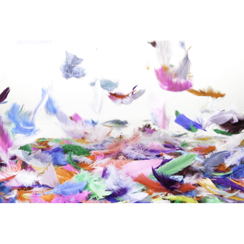 Falling Feathers 483480555, 20cm H x 30cm W