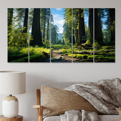 " Redwood Giants Tree Forest II " 5 - Pieces