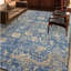Oriental Area Rug in Gold-72344582