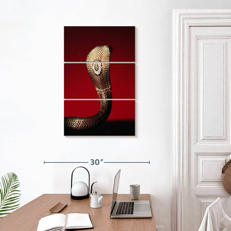 Brampt Cobra, 32" H x 20" W