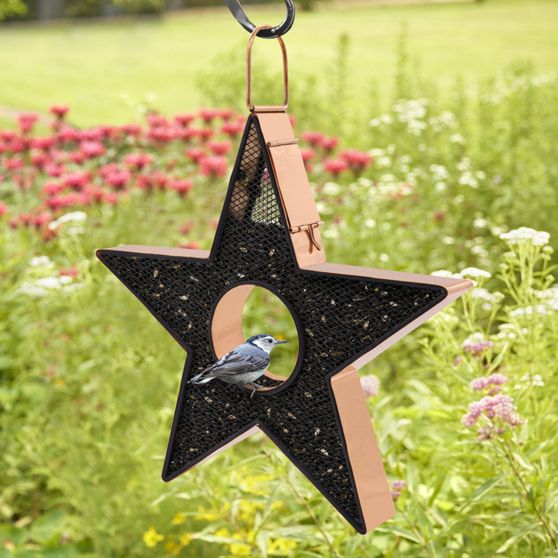 Mangeoire d'oiseaux en cuivre Star Fly-Thru, avec panneaux en maille noire en acier inoxydable