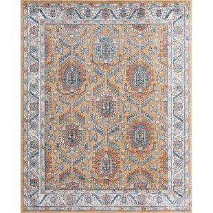 Oriental Indoor Rug