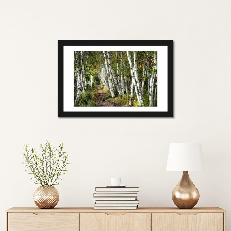«A Walk Through the Birch Trees» par Danny Head - impression d'art graphique, H 24 po x l 32 po x P 1 po, Blanc