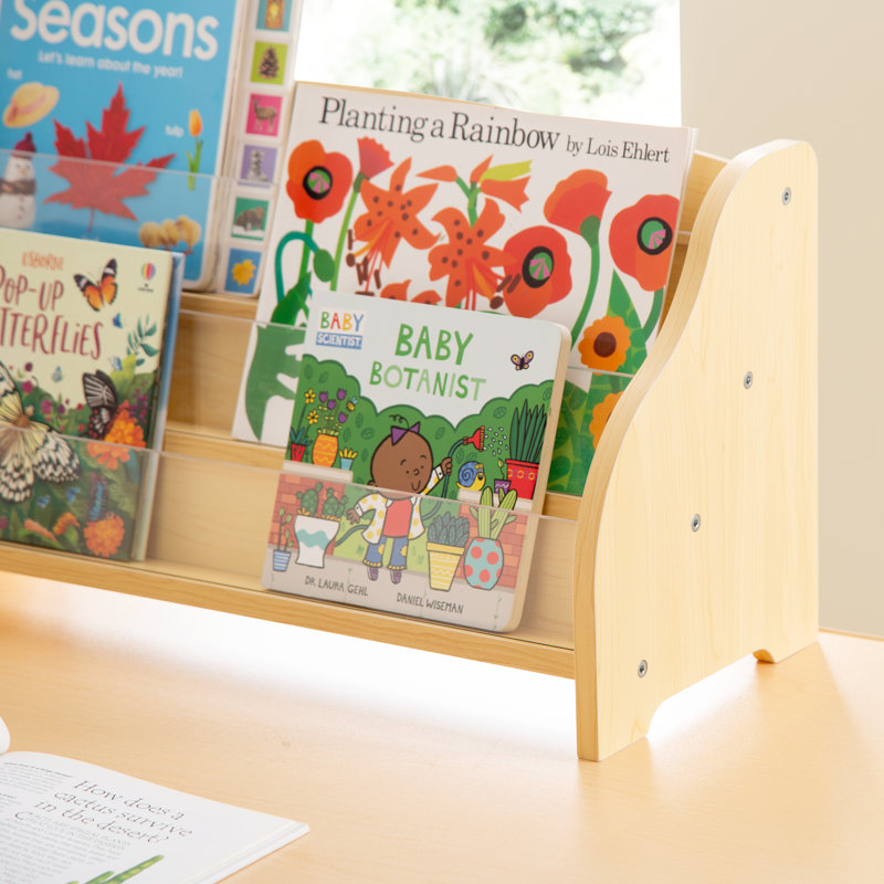 Natural Maple Tabletop Book Display with Acrylic Dividers